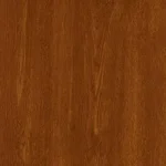 Image Attribute